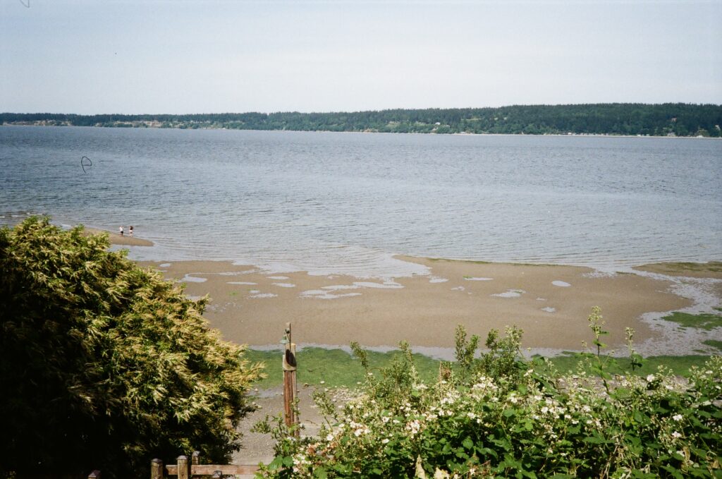 a beach