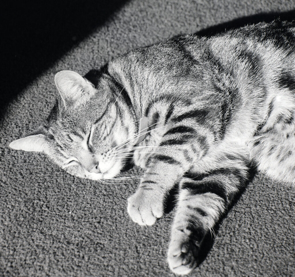 Preparing for another exhausting day.