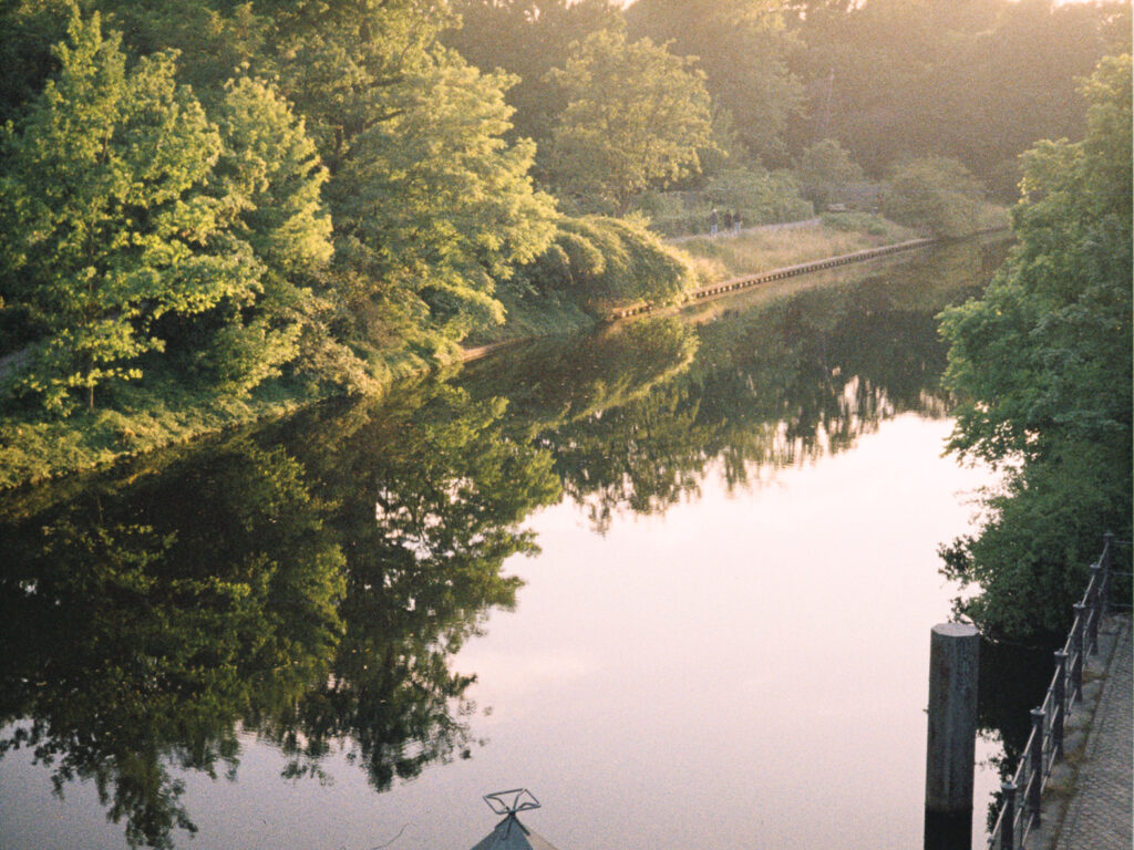 Trees and their reflections on water