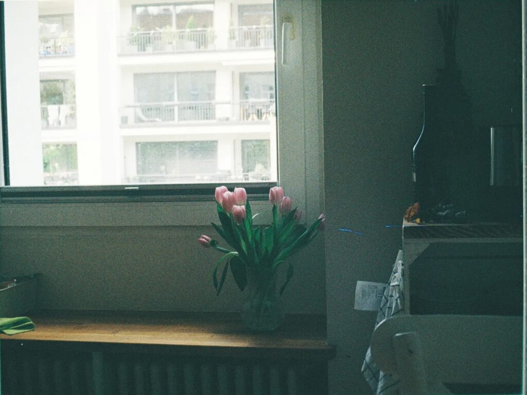 Flowers on a vase beneath a window