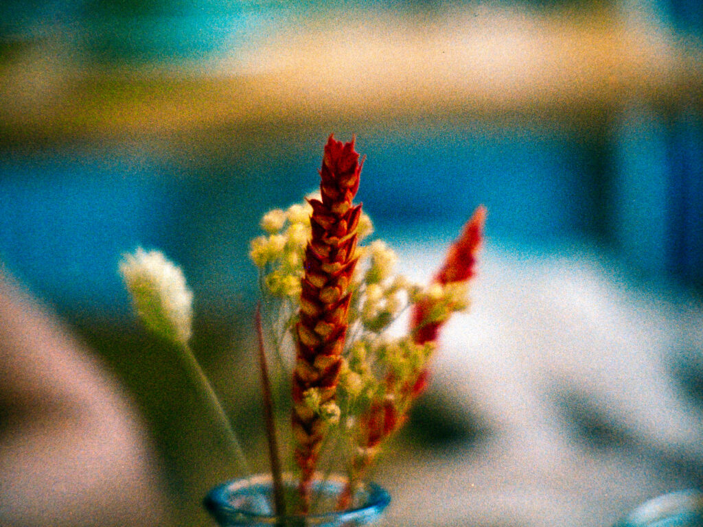 A picture of decorative flower and a blurred background