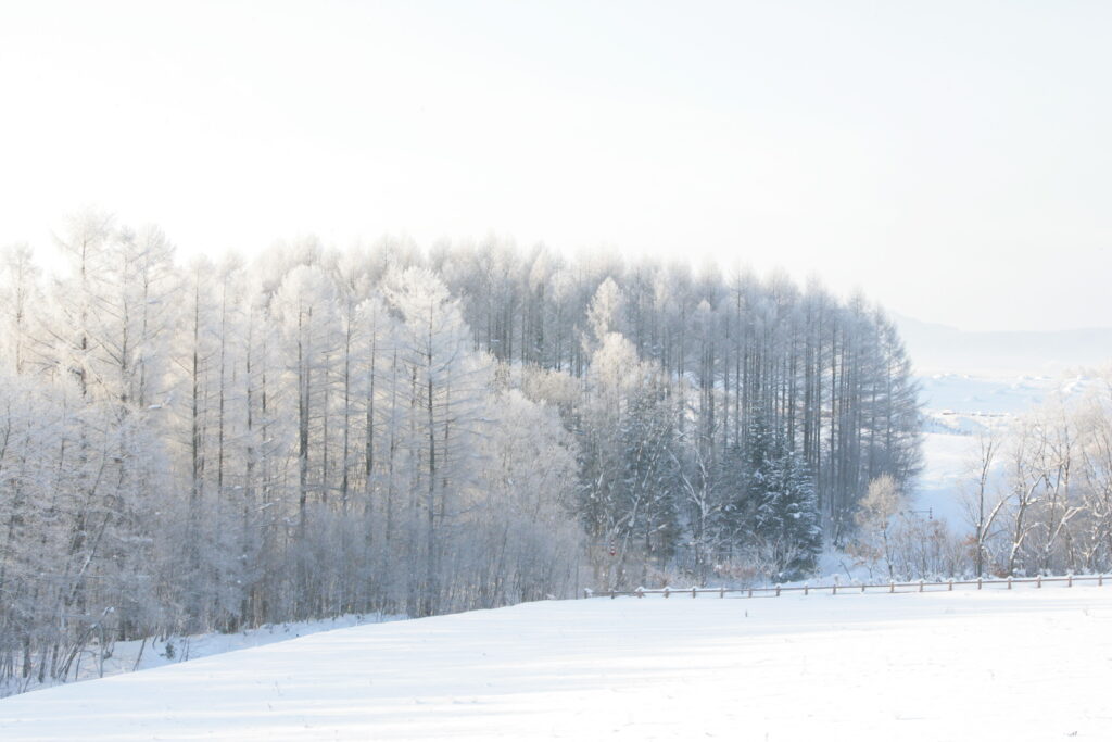 Looking forward to Winter