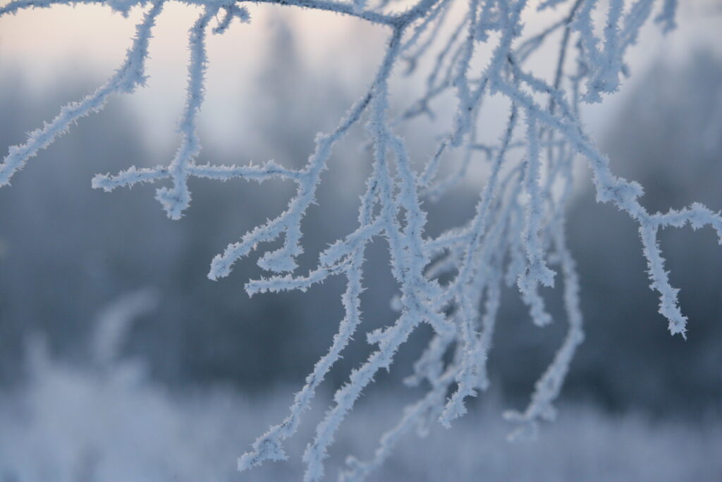 Looking forward to Winter