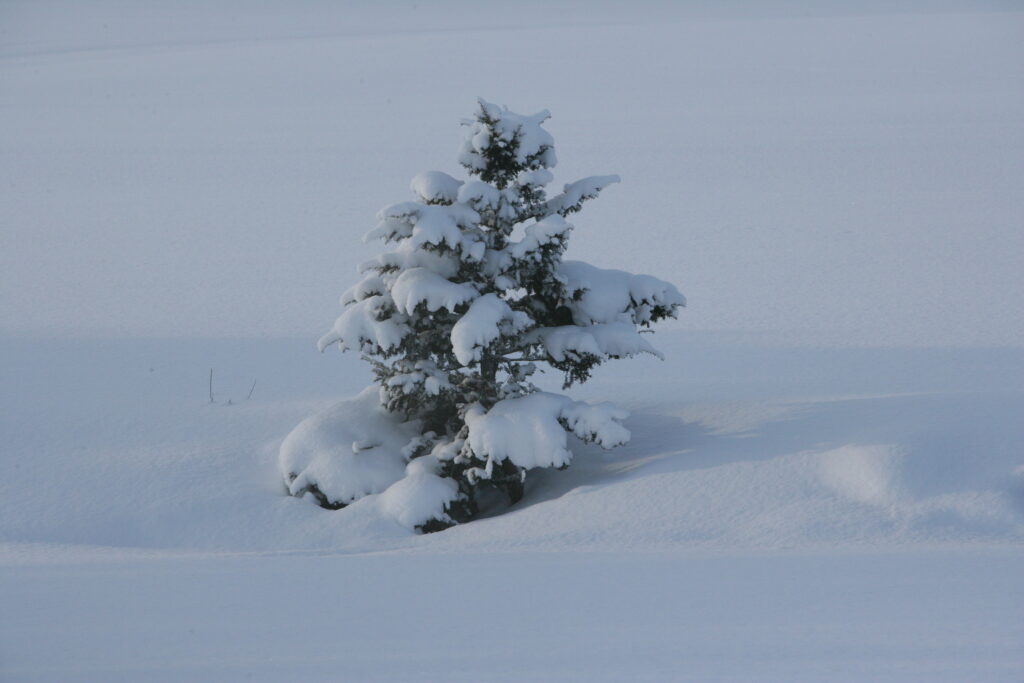 Looking forward to Winter