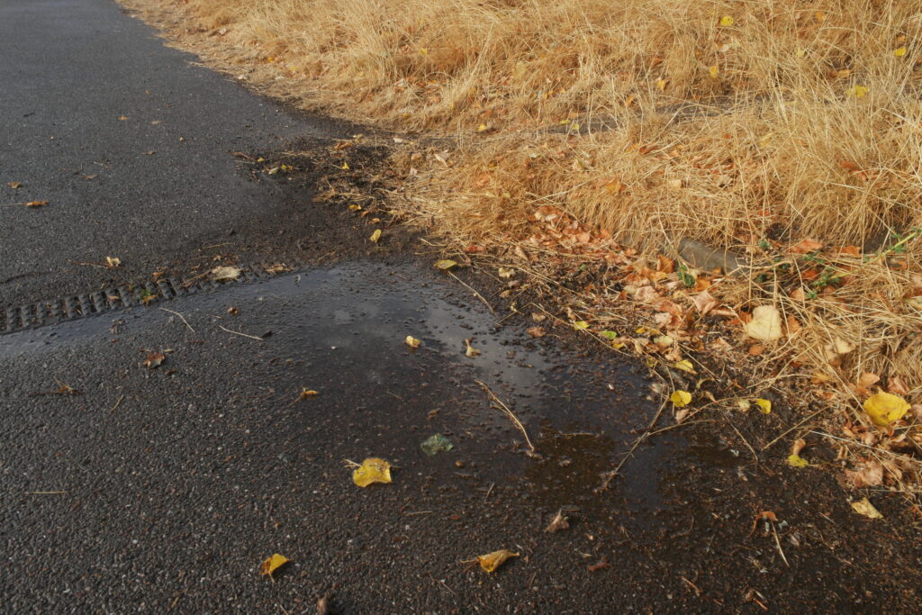 A photograph showing a puddle on a footpath and dried grass along the edge.