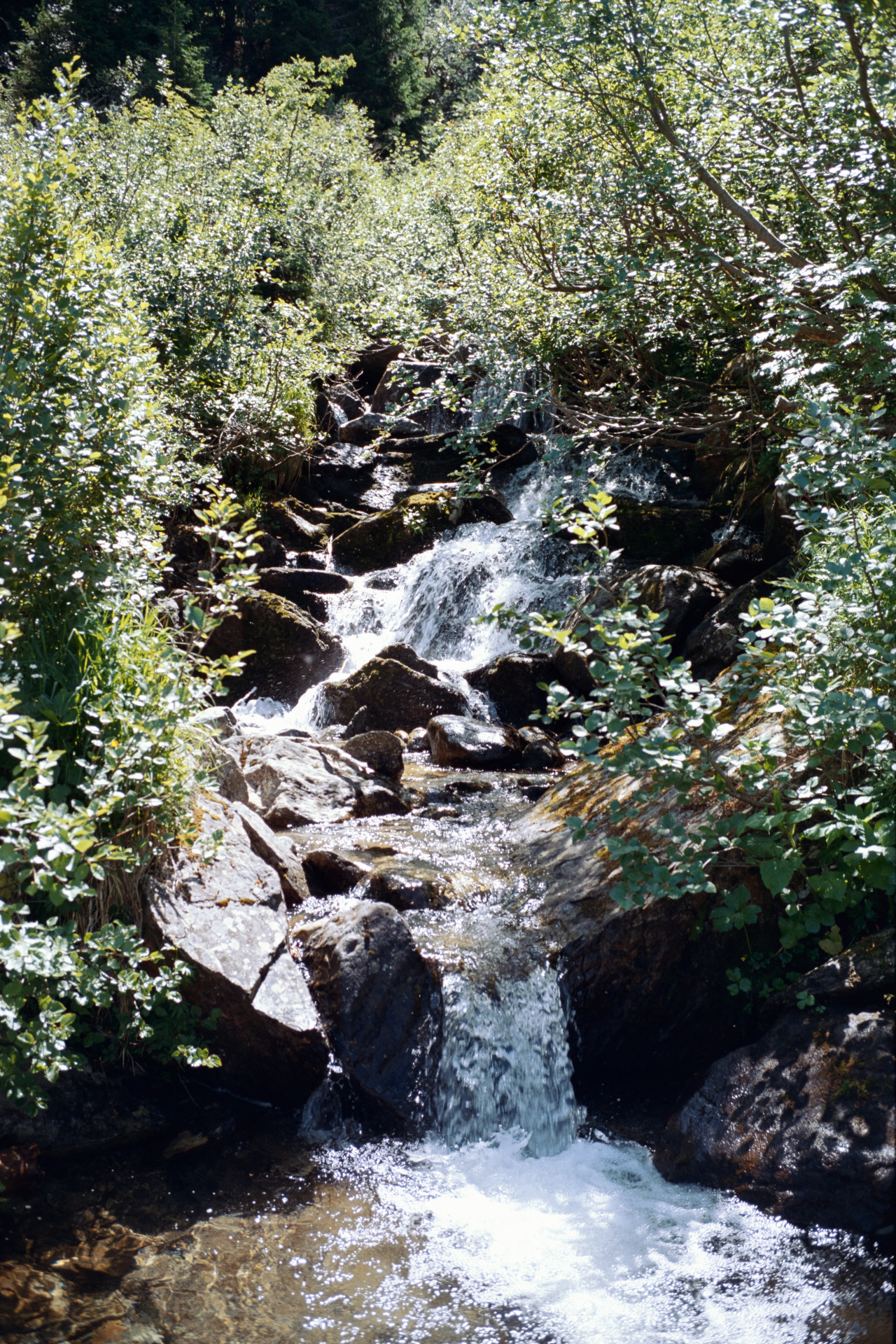 The Natural Park does not lack water