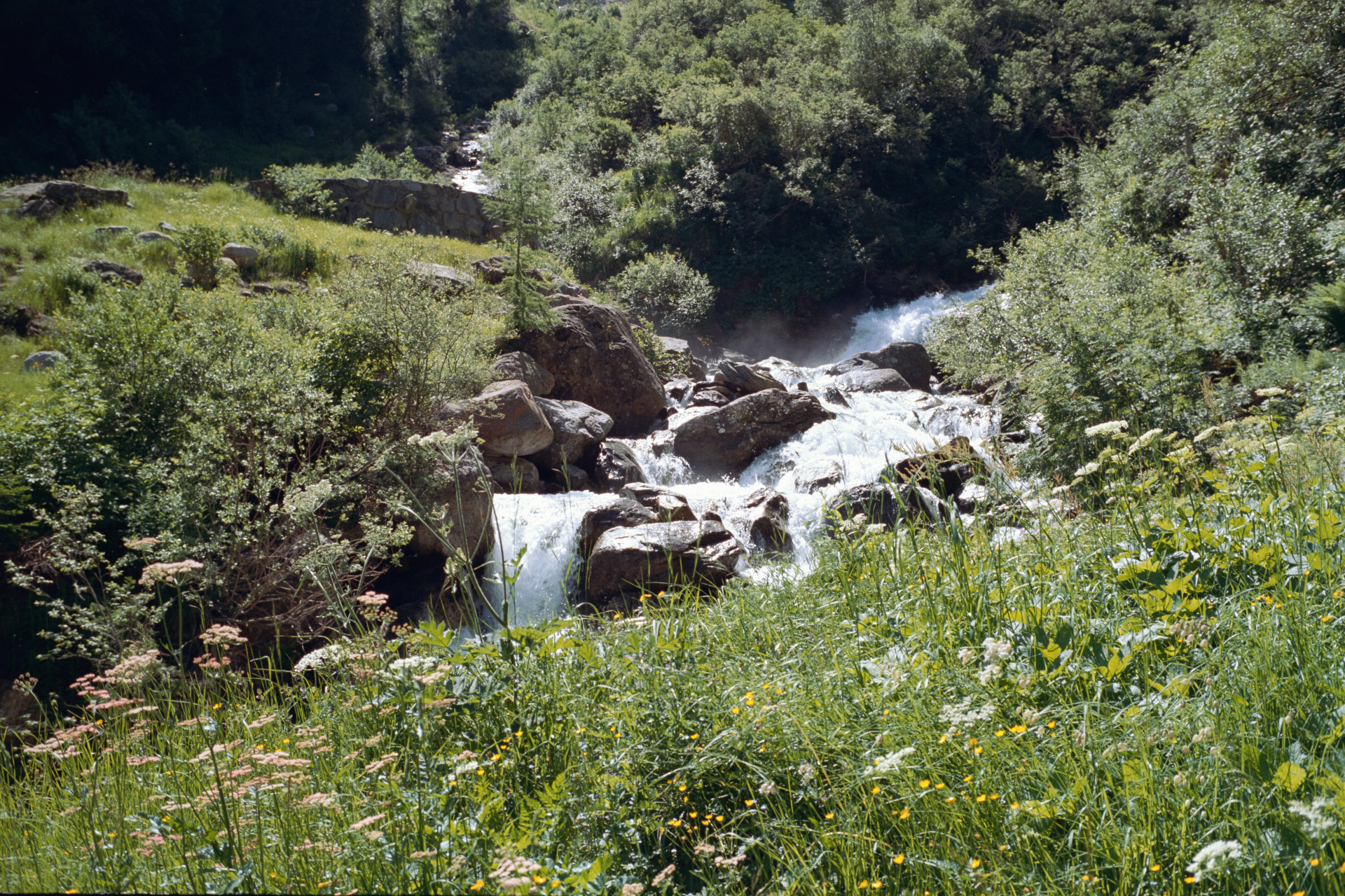 The torrents flow into the Binna