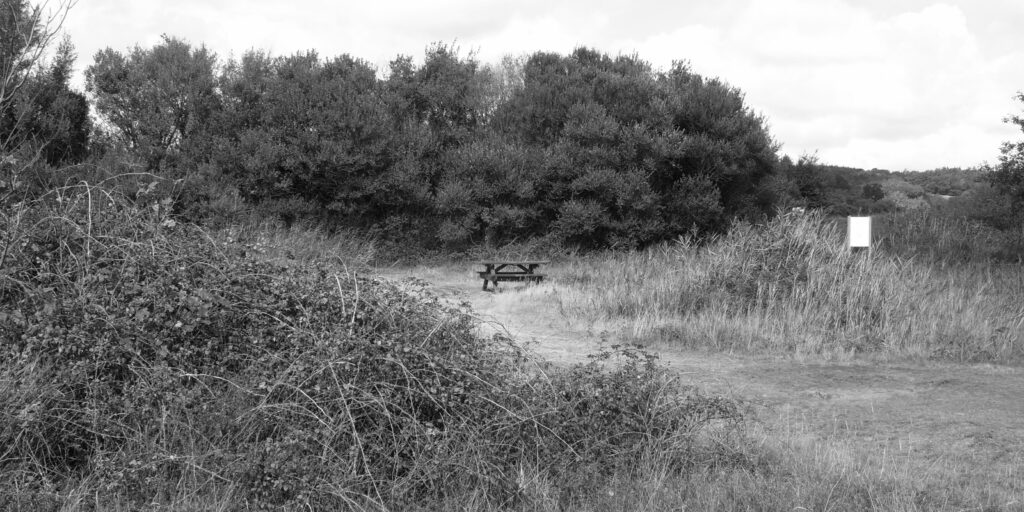 Monochrome image showing unoccupied picnic bench and table at Dawlish Warren Nature Reserve
