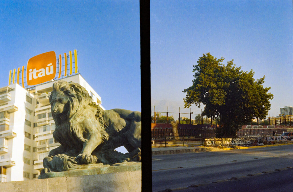 Photos from the second roll - Kodak Vision2 250D