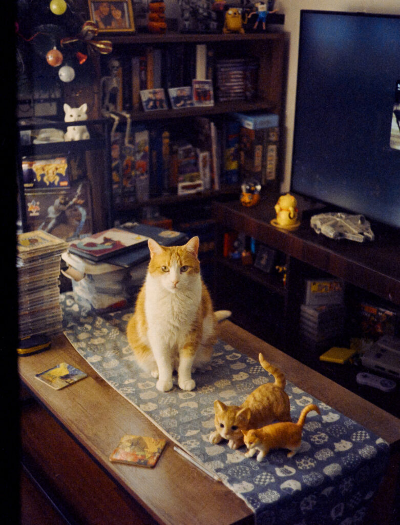 Mimi - shoot with Kodak Vision2 250D